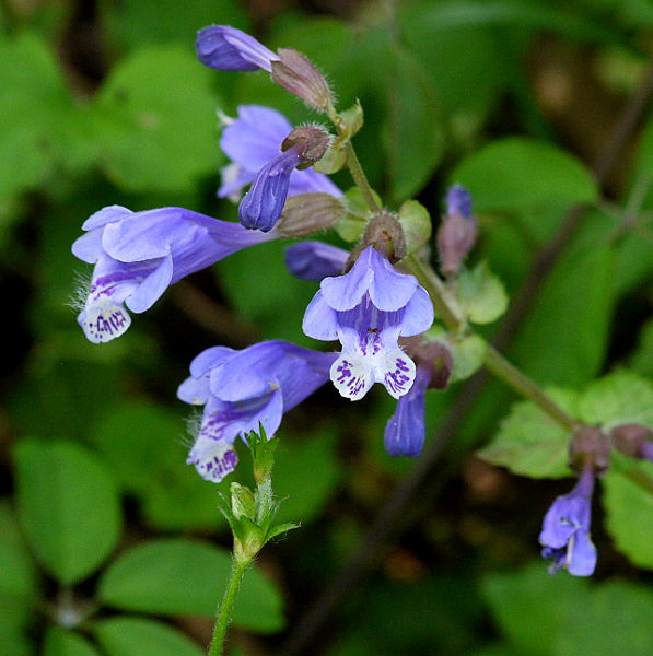 d0091754_2314038.jpg