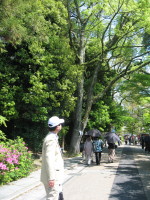 e0113254_1153497.jpg