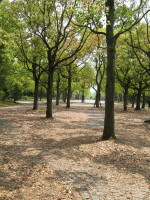 e0113254_14144853.jpg