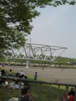 e0113254_1423127.jpg