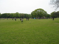 e0113254_142616.jpg