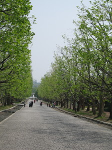 e0113254_148729.jpg