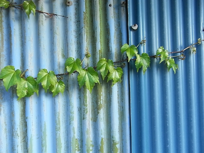c0113755_344368.jpg