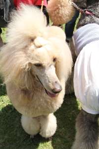 f0214858_179122.jpg