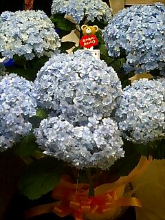 f0213861_049392.jpg