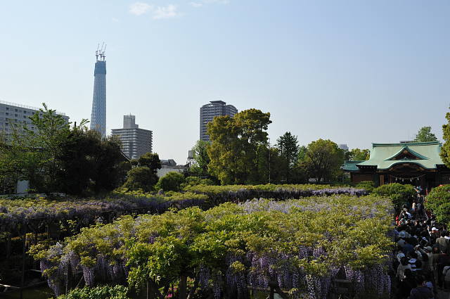 f0222161_23244100.jpg