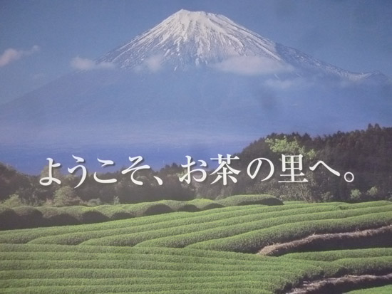c0186264_1743439.jpg