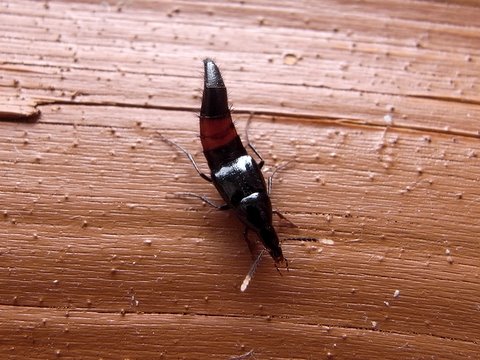 b0130166_22234411.jpg