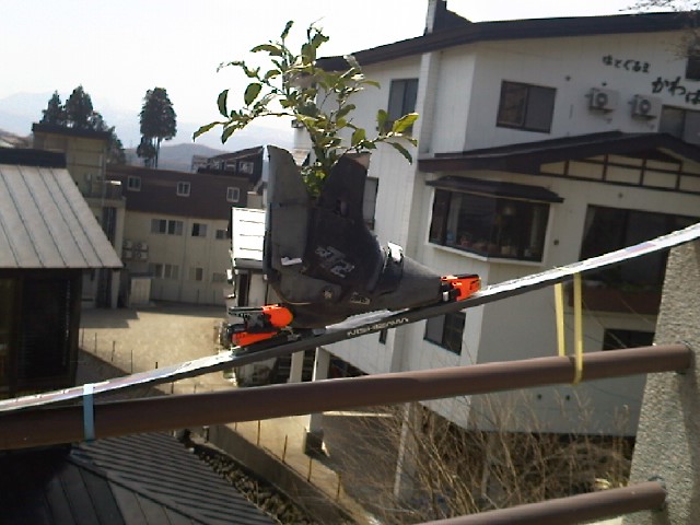 b0085469_23231713.jpg