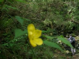 c0042869_16321086.jpg