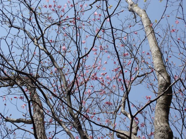 c0042869_1634015.jpg