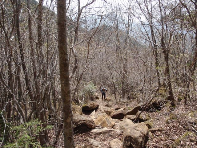 c0042869_16354116.jpg