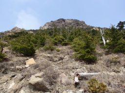 c0042869_16465940.jpg
