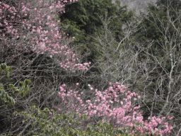 c0042869_16484141.jpg