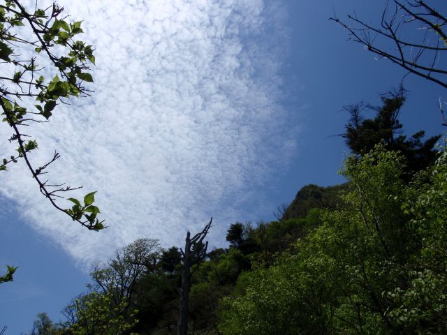 c0042869_2053881.jpg