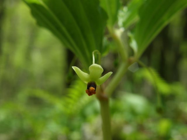 c0042869_2072546.jpg