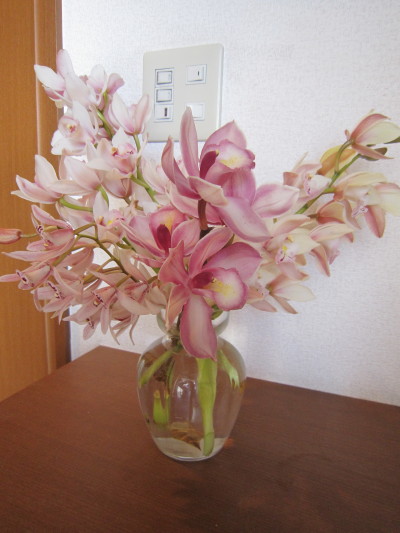 c0202870_16545557.jpg