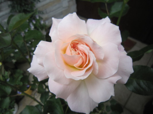 c0202870_1743010.jpg