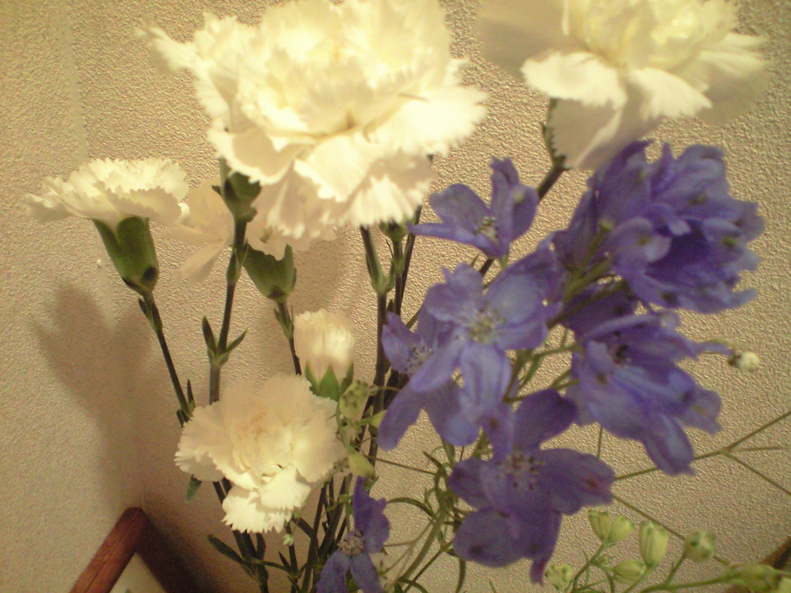 a0152078_2211247.jpg