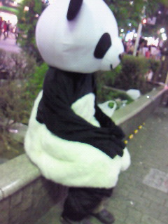 d0072481_14204116.jpg