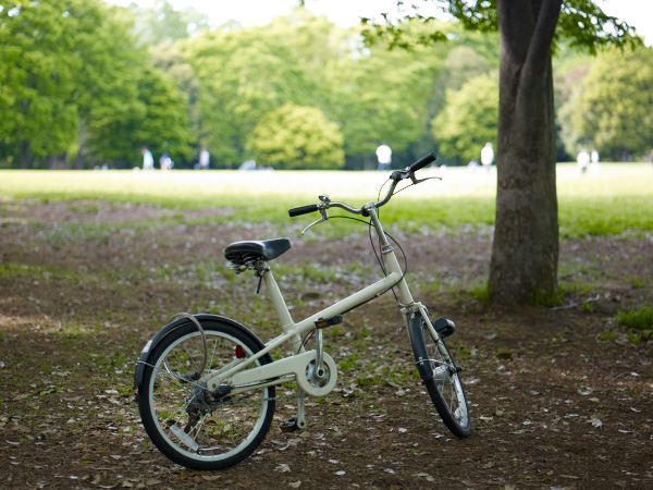 d0089281_22321162.jpg