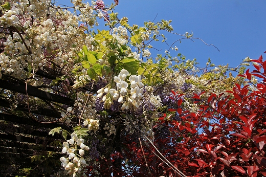 e0190885_18414446.jpg