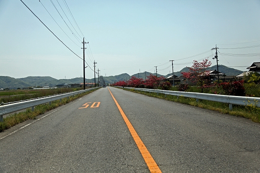 e0190885_18435831.jpg