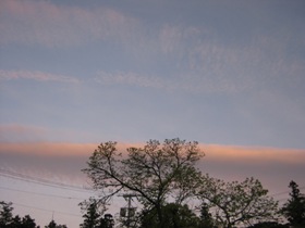a0034487_1540480.jpg