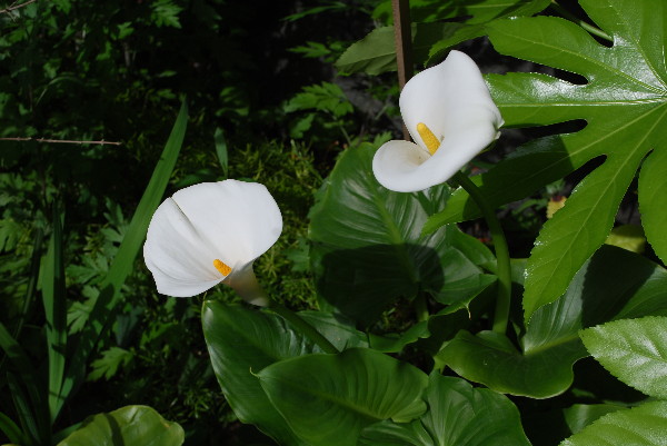 c0132387_0571341.jpg