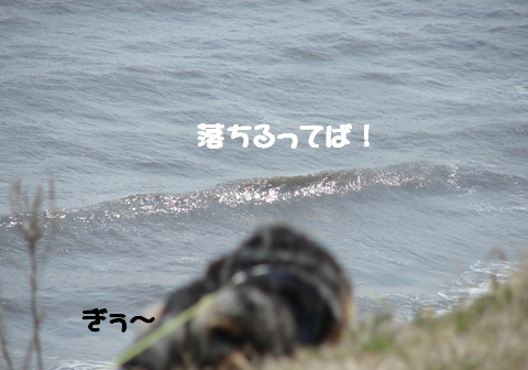 f0195891_1654199.jpg