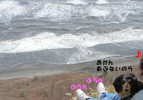 f0195891_1655068.jpg
