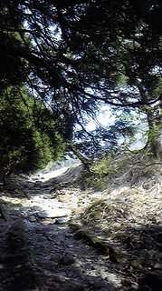 a0042393_13254928.jpg