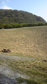 a0042393_13263368.jpg