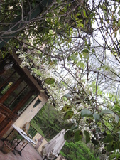 e0126094_19333915.jpg