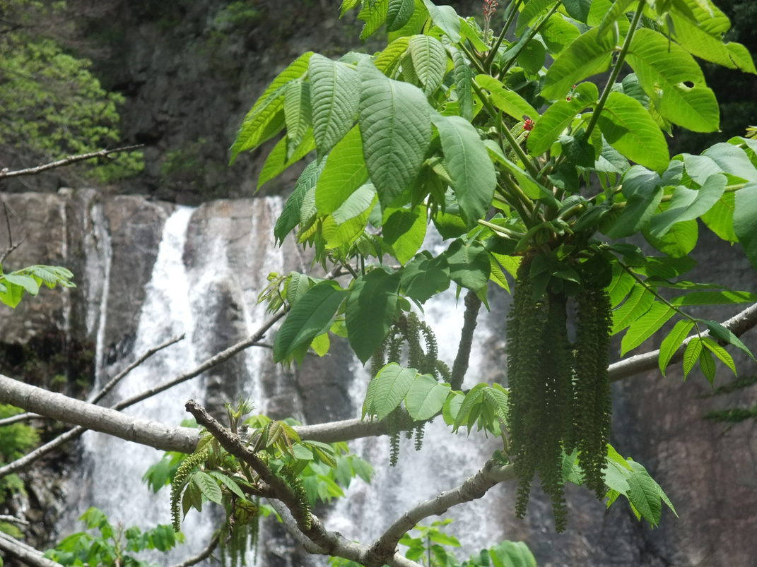 b0044296_21333388.jpg