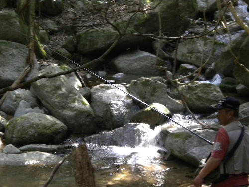 e0179098_13191138.jpg
