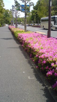c0202101_15461094.jpg