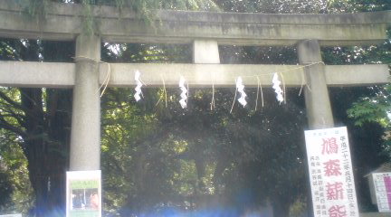 c0202101_174385.jpg
