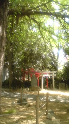 c0202101_179418.jpg