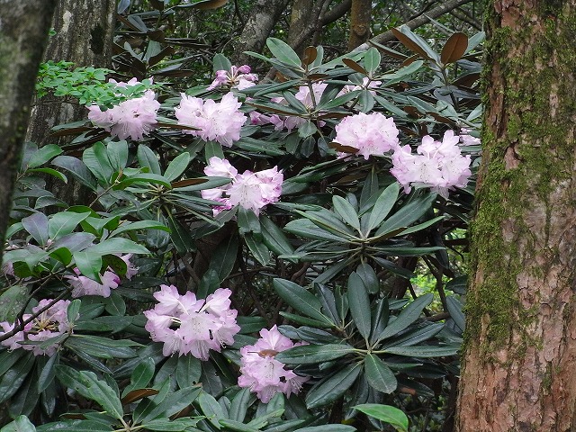 f0187402_1816799.jpg