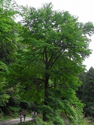 f0187402_1818478.jpg