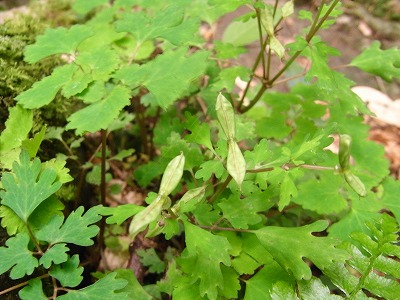 f0187402_18185499.jpg