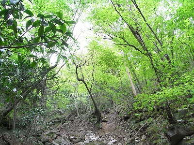 f0187402_18191864.jpg