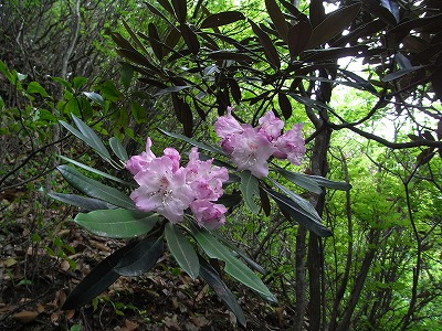 f0187402_18201251.jpg