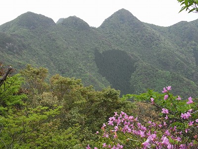 f0187402_1820358.jpg