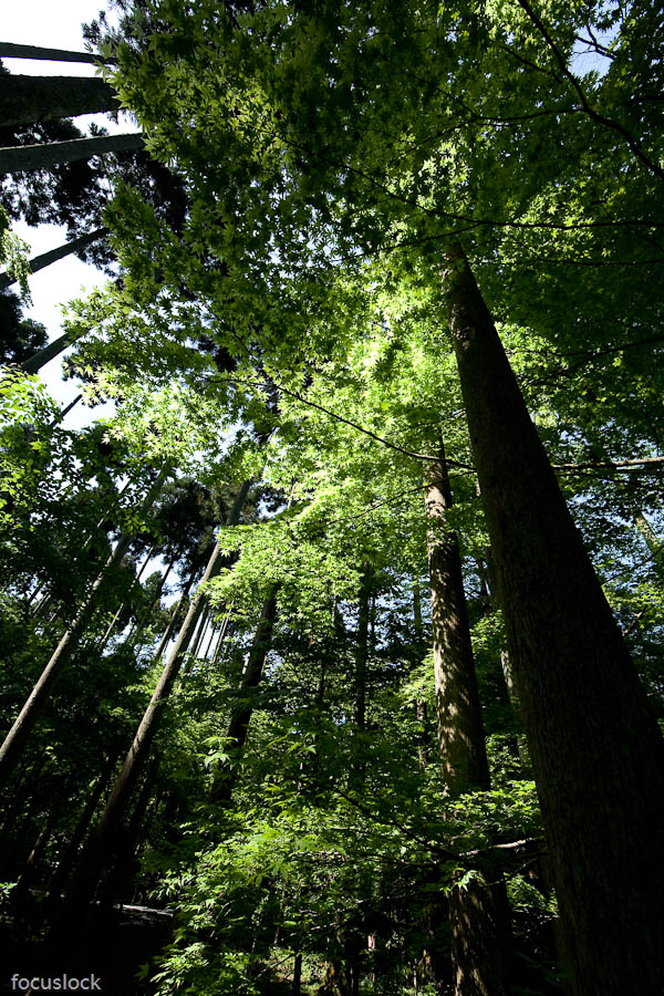 f0220502_1549291.jpg
