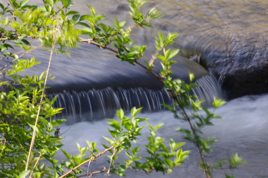 c0187503_2055767.jpg