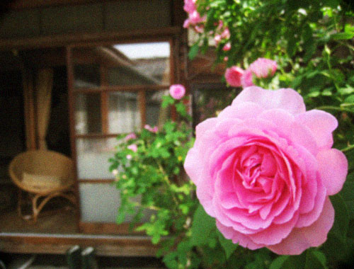 d0077603_23524851.jpg