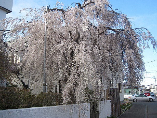 f0202703_21301923.jpg
