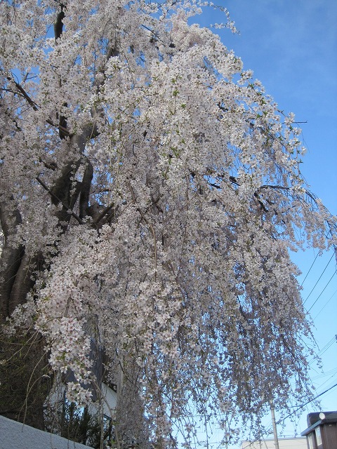 f0202703_21303953.jpg